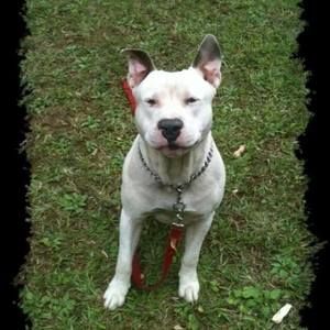 Meet your Posher, Melvina